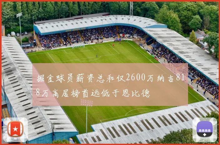 掘金球员薪资总和仅2600万纳吉818万高居榜首远低于恩比德