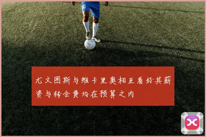 尤文图斯与维卡里奥相互看好其薪资与转会费均在预算之内