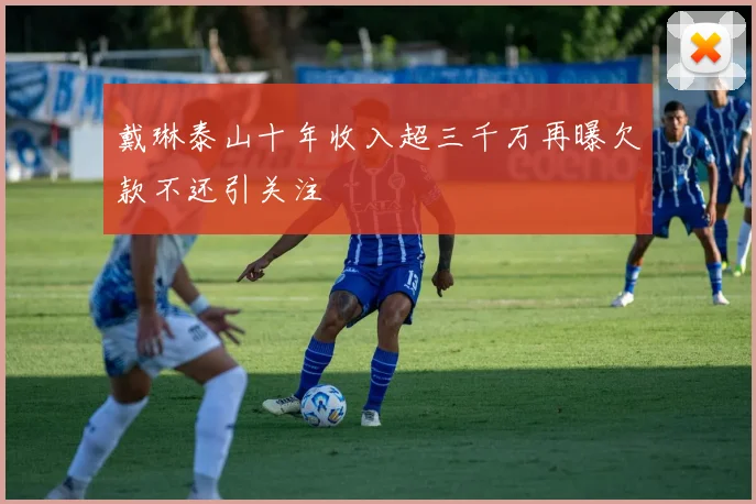 戴琳泰山十年收入超三千万再曝欠款不还引关注