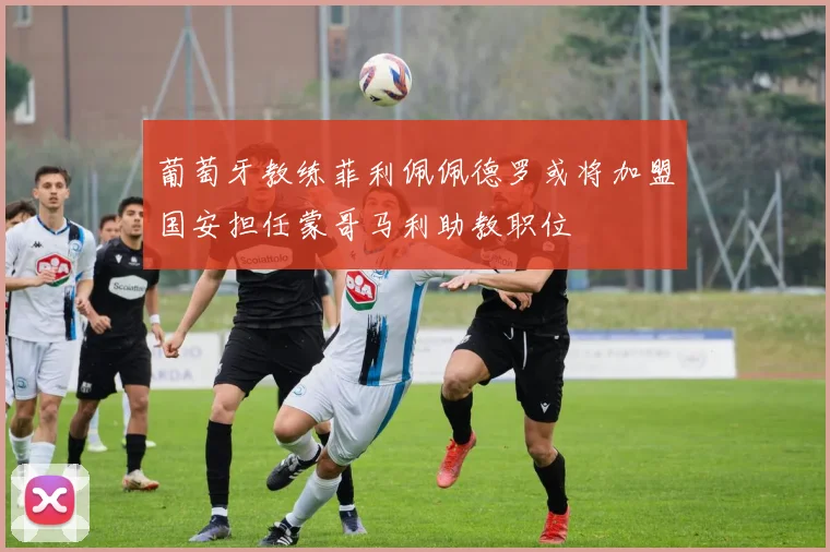 葡萄牙教练菲利佩佩德罗或将加盟国安担任蒙哥马利助教职位