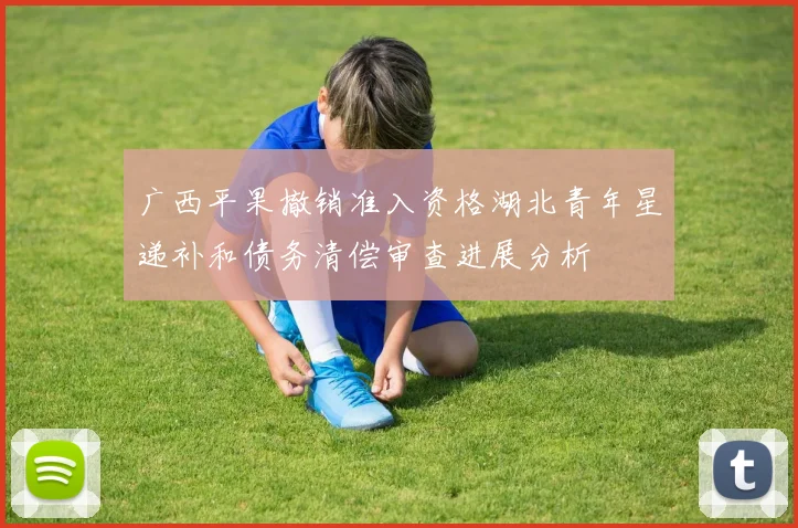 广西平果撤销准入资格湖北青年星递补和债务清偿审查进展分析